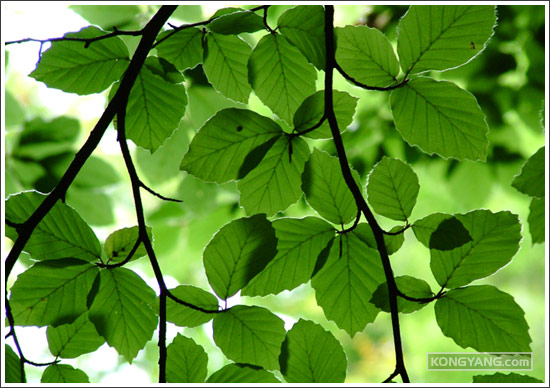 Open in new window Open in new window